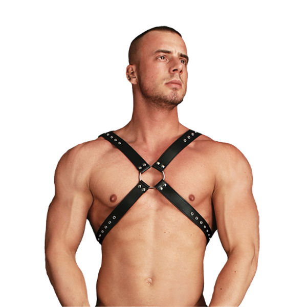 Ouch Adonis High Halter Harness